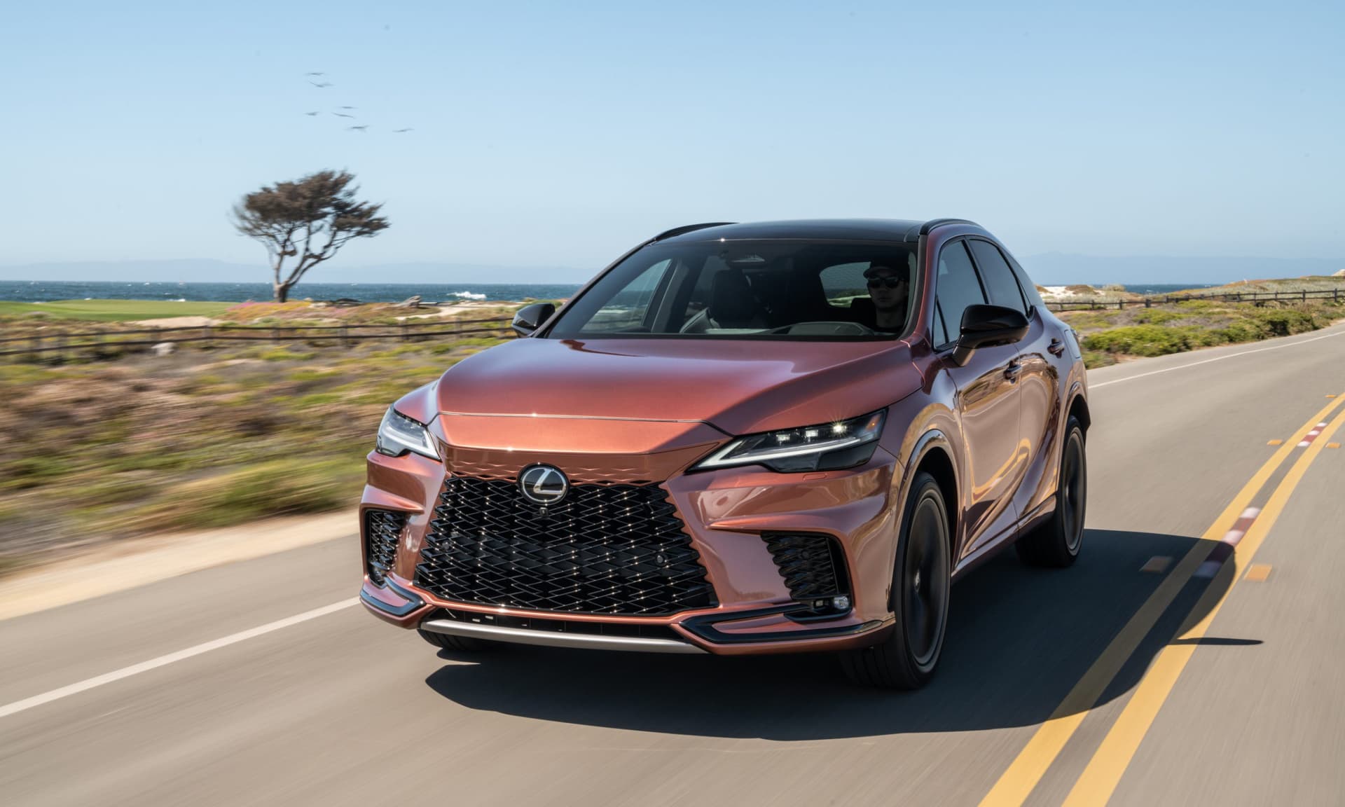 2023 Lexus RX